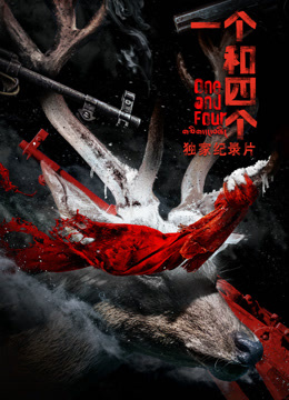 一个和四个独家纪录本