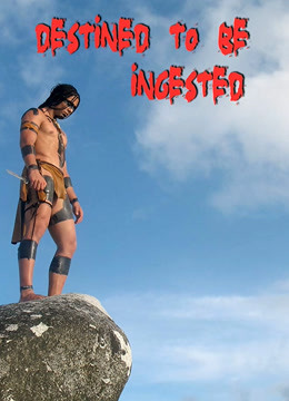 命中注定第二季00第八季